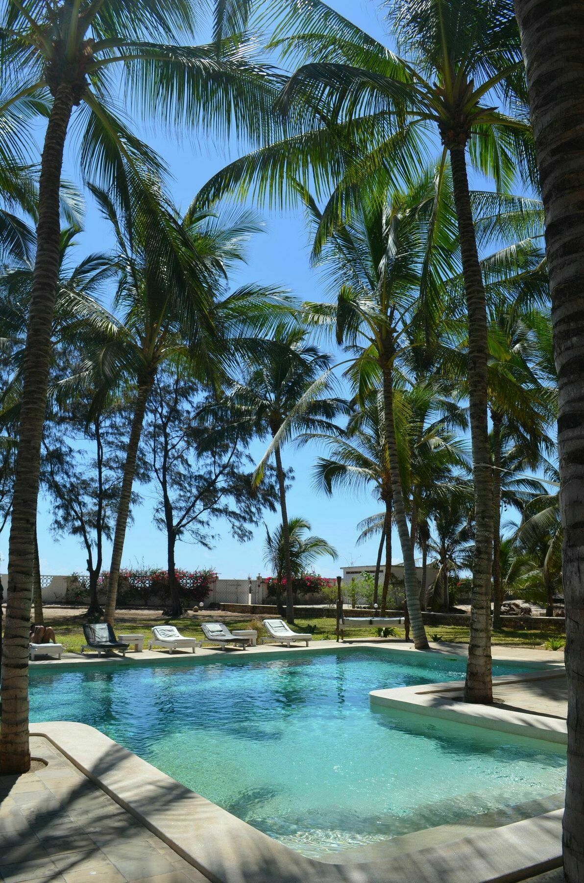 Villa Cesy Boutique Hotel Malindi Exteriör bild